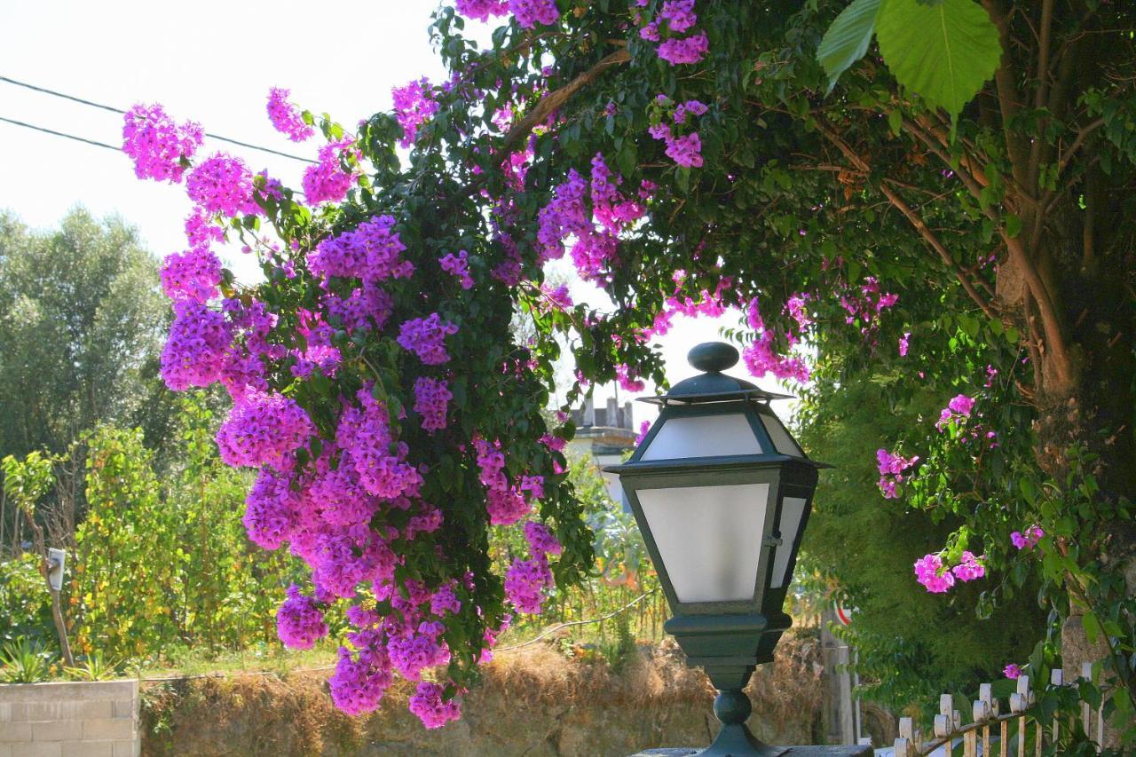 Corredoura Garden Hotel Caldelas Exterior photo